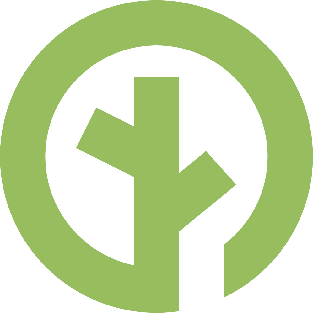 Digital Insights (Startup)